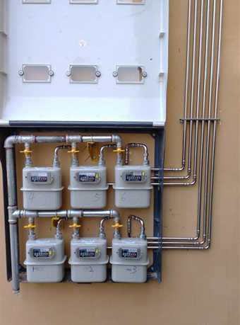 ȼ������ֹ�С�������йұ�