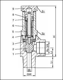 �¹�����˹���·���